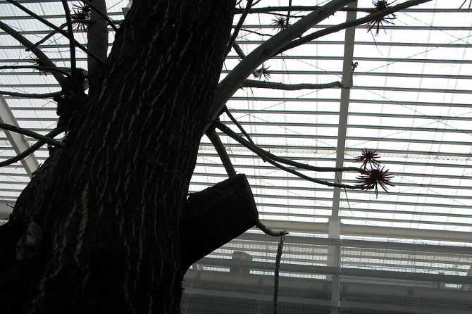 Raúl Peña Architects - Centro de Artes Santa Úrsula