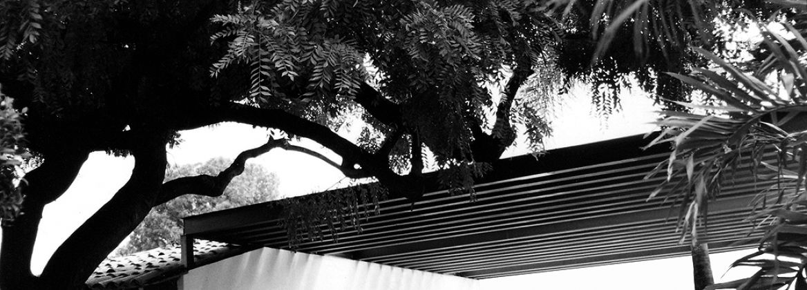 Raúl Peña Architects - Flor y Miel