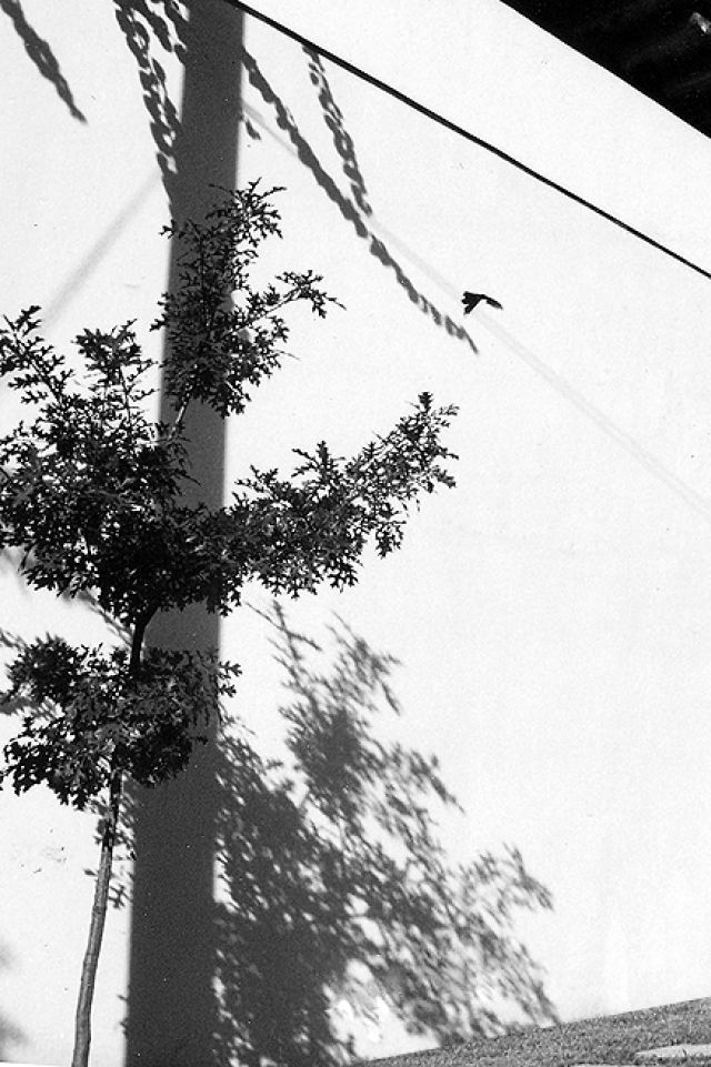 Raúl Peña Architects - Escorial 37