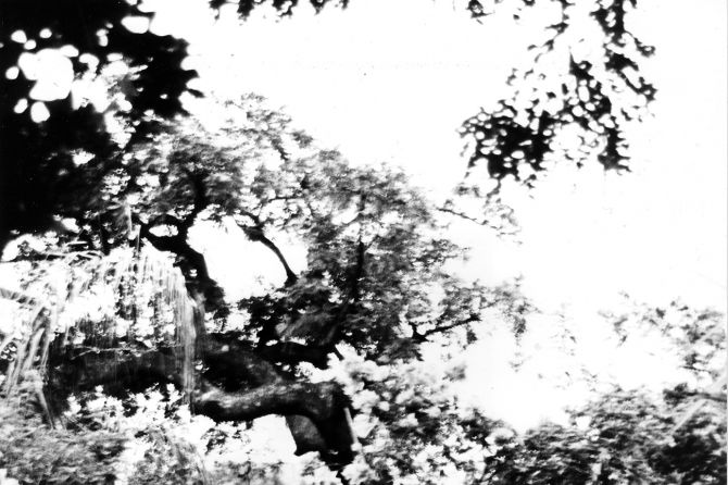 Raúl Peña Architects - Flor y Miel