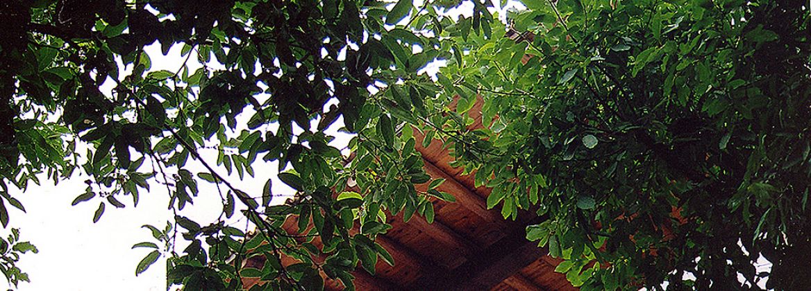 Raúl Peña Architects - Escorial 37